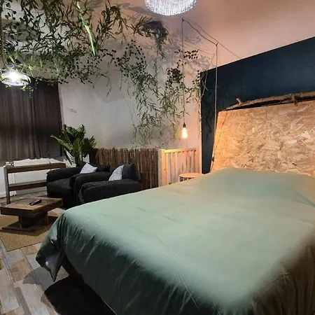 Apartment Botanica - Private Saint-Quentin (Aisne)