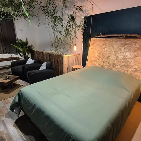Botanica - Private Apartment Saint-Quentin (Aisne)