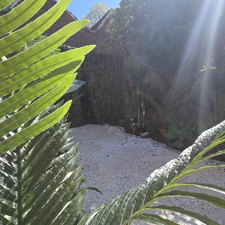 Botanica - Private * Saint-Quentin (Aisne)